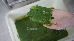 خلاط عصير المانجو الصناعي التلقائي متعدد الفواكه والخضروات - Product Image 5