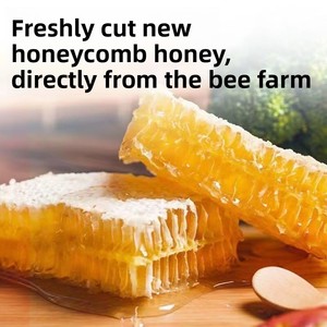 Miel en combles frais biologique en vrac, produit apicole pur et naturel, miel en combles cru de qualité supérieure, certifié HACCP, Brix 80, fourni directement par l'usine - Product Image 4