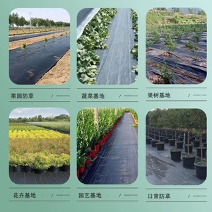 Weed Control Cloth Non Woven Geotextile Black 3m Wide For Orchard Vegetable Garden Mulching Covering - Product Image 1