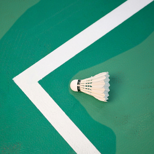 Pluma de Bádminton de Alta Calidad, Grado Club, para Entrenamiento, Partido y Práctica - Product Image 2