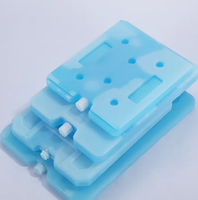 Vente chaude HDPE Réutilisable Gel Congélateur Glace Mini Grand Bloc De Glace Boîte Glacière Boîte À Lunch Glace Brice Pour Le Stockage Des Aliments