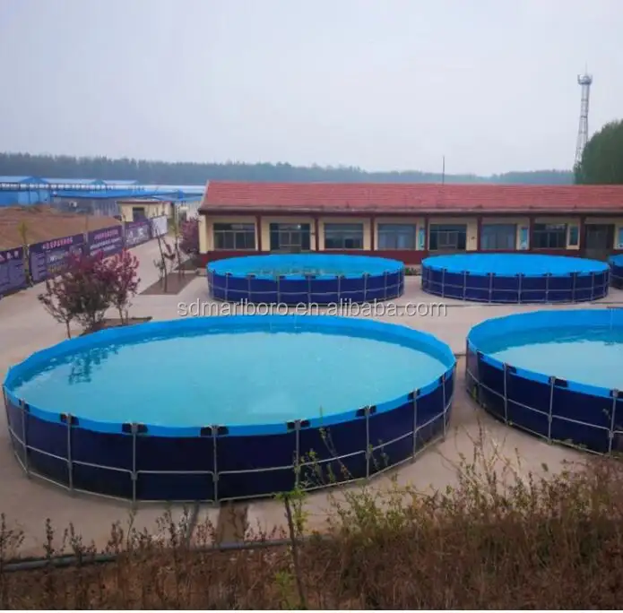 Kustom Pabrik Cina kolam ikan terbesar kolam pertanian tilapia luar ruangan dalam ruangan