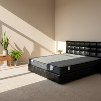 Matelas épais Euro Top grade A mousse soulageant pression, hypoallergénique pour seniors et dormeurs sur le dos