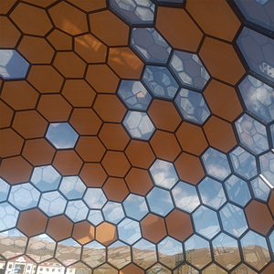 8m Diameter Luxury Big Brown Glass Dome <strong>Tent</strong> for Outdoor Party Events - Product Image 4