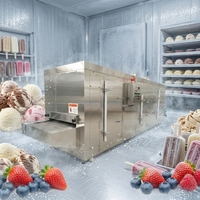 Automatische IQF-snelvriesmachine met tunnel voor het snel invriezen van frieten, diepvriesgroenten en -fruit