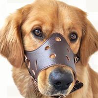 Muselière pour chien en cuir respirant, réglable, anti-aboiement, avec boucles métalliques, pour chiens de petite, moyenne et grande taille