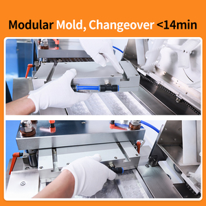 Dpp nhựa và Alu vỉ tự động lọ Ampoule dùng một lần tiêm ống tiêm Tablet vỉ máy đóng gói - Product Image 4