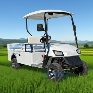 Carrito de Golf Eléctrico de 2 Plazas Fabricado en China para Transporte en Campos de Golf - Product Image 1