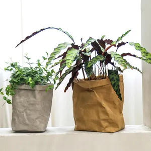 정원 재배자 도매 창조적 인 빨 크래프트 종이 정원 꽃 재배자 망고 과일 보호 성장 종이 가방