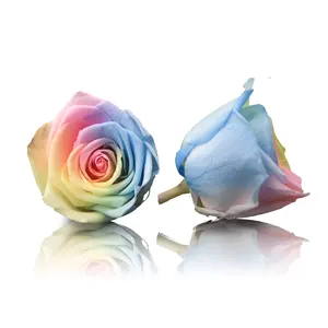 5-6cm Colorful Wholesale High Quality Decorative Forever Eternal Everlasting Preserved Rose Flower Head Bud Box Roses 60+ Colors