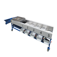 VBJX trieur de pommes de terre ail cerise prune dattes noix de cajou ananas trieur machine de classement pour légumes fruits