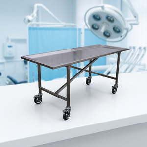Station de travail en acier inoxydable Labycare avec évier et roulettes pour usage mortuaire, garantie 1 an - Product Image 6