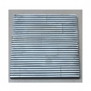 Nouvel arrivage de sous-verres incrustés d'os Ensemble de 4 sous-verres à motif de doublure Thé Café Boisson froide Dessous de verre en os de table Protection contre la chaleur pour cadeau - Product Image 1