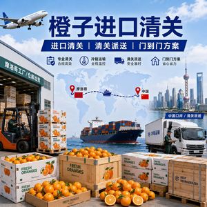 Despacho de Aduanas de Naranjas, Logística de Cadena de Frío desde Marruecos a China, Servicio Exprés LCL - Product Image 1