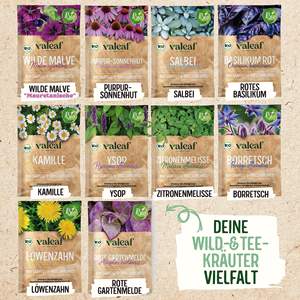 Kit de plantes de jardin de truies organiques de 10 types pour plantes de thé médicinales, épices sauvages, truies pour la plantation incluses - Product Image 4