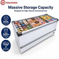 Congélateur coffre horizontal commercial à double porte grande capacité pour la conservation de la viande à usage domestique et en supermarché