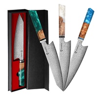 Ensemble de 9 couteaux de cuisine en acier Damas VG10, style japonais, manche en bois de burl et résine