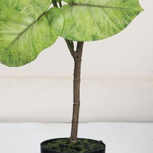 Bonsaï artificiel Ficus Heartleaf Dream Castle 100cm-200cm, plante d'intérieur décorative en plastique PVC et tissu - Product Image 3