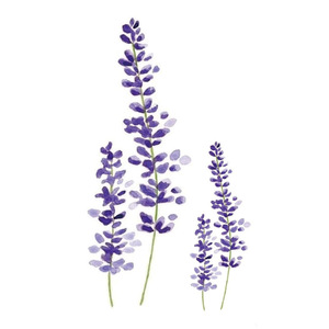 <span class=keywords><strong>Aquarelle</strong></span> Lavande Fleur Tatouages Temporaires Pour Femmes Corps Art Bras Faux Flore Adultes <span class=keywords><strong>Tatouage</strong></span> Autocollant - Product Image 1