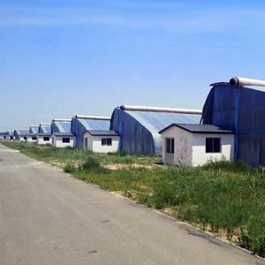 FM Commercial 150Mic Film de Panda en plastique <span class=keywords><strong>Tunnel</strong></span> haut serre cerceaux <span class=keywords><strong>Tunnel</strong></span> champignons serres <span class=keywords><strong>pour</strong></span> équipement agricole - Product Image 4