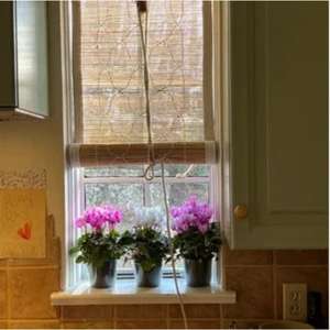 Stores enrouleurs tissés en bambou naturel et écologique, taille 4x6FT, stores et volets en bambou faits à la main de haute qualité - Product Image 5