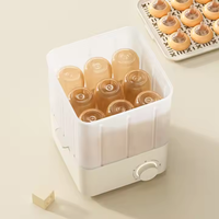 Stérilisateur à vapeur pour biberons grande capacité avec chambre visible et contrôle par minuterie – Équipement de stérilisation pour accessoires d'alimentation de bébé