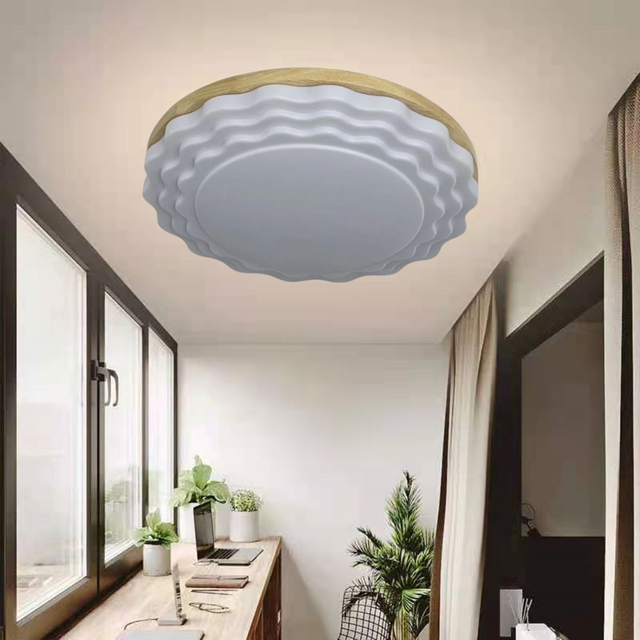 Dimmable 36W LED Modern Iron Ceiling Light with Switch Control Eye-Care Flush Mount for Living Room Flicker Free Indoor Lamp