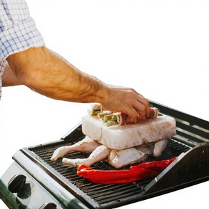 Dalles de sel de l'Himalaya naturelles sculptées à la main, qualité supérieure, pour la cuisson et la présentation des aliments, vente en gros - Product Image 1