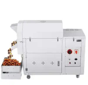 热卖燃气电动220v 12v两种加热方式板栗烘烤机商用烘烤机花生机