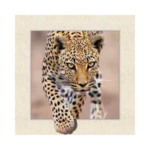 Affiche Lenticulaire 3D 5D Haute Qualité Prix Usine Impression PET Support Léopard Animal Décoration Maison Étanche Haute Résolution - Product Image 1