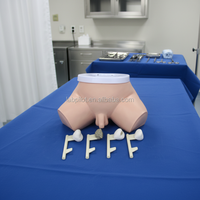 Mannequin d'entraînement pour l'examen de la prostate HOT Labpilot, modèle des maladies de la prostate LP/F2