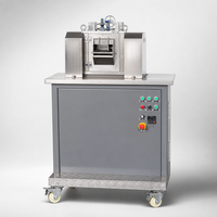 Machine de granulation de plastique, mini moulin à deux rouleaux de bureau, rouleaux de 80 mm, mélangeur de composés PE PP PVC, granulation de laboratoire, CE ISO