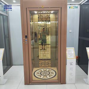 Современный домашний лифт с автоматическими модульными дверями двойного открывания - Product Image 2