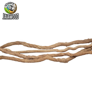 Décoration de maison et Cage biologique indonésienne pour un environnement écologique et l'escalade de reptiles pour les animaux de compagnie, racine de Liana - Product Image 4