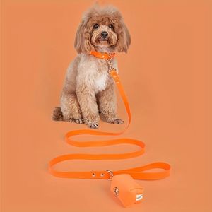Laisse et collier réglables en PVC pour chien, faciles à nettoyer, étanches, pour petits, moyens et grands chiens - Product Image 4