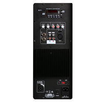 Módulo Amplificador de Potencia Activo Profesional Clase D Accuracy Pro Audio 15AOE-80W para Caja Acústica