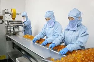 TRT Boost TRT Gummy MAX Boost TRT MAX gummies สำหรับผู้ชายขั้นสูงสูตรธรรมชาติ - Product Image 6