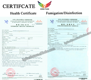 도매 천연 청둥 오리 날개 재료 오리 깃털 공예 DIY 플라이 낚시 재료 의상 액세서리 카니발 파티 장식 - Product Image 6
