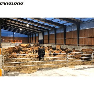 Qingdao מודרני עיצוב פלדת מבנה בקר פרה חלב חליבת shed החווה בניין - Product Image 5