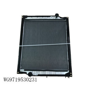 SINOTRUK <span class=keywords><strong>HOWO</strong></span> ट्रक स्पेयर पार्ट्स इंजन रेडिएटर WG9719530231 - Product Image 2