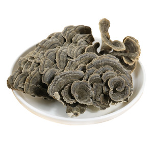 Extracto <span class=keywords><strong>de</strong></span> <span class=keywords><strong>Cola</strong></span> <span class=keywords><strong>de</strong></span> <span class=keywords><strong>Pavo</strong></span> (Coriolus Versicolor) Polisacárido Orgánico Natural - Product Image 2