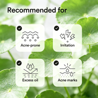 Sérum Visage Anti-Âge et Réparateur à l'Acide Hyaluronique et à la Centella Asiatica, Éclaircissant et Régulateur de Sébum, à la Niacinamide – Vente en Gros
