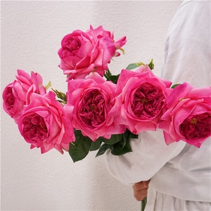 Rosas de Látex de Alta Calidad al por Mayor, Flores Artificiales con Tacto Real, <span class=keywords><strong>Rosa</strong></span> Blanca Austin <span class=keywords><strong>Juliet</strong></span> para Decoración de Bodas y Hogar - Product Image 5