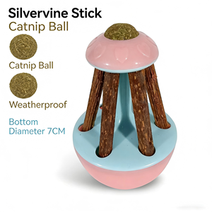 Slimme, milieuvriendelijke, schattige plastic design nieuwe productlancering kattenkruid tumbler speeltje kattenkruid katten speeltje zilverwijnplant speeltje - Product Image 5