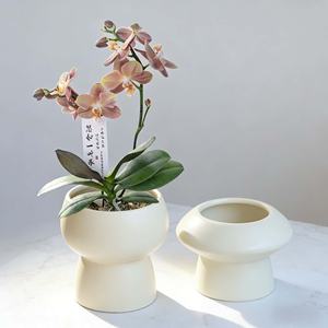 Pots à fleurs en céramique minimalistes, écologiques, légers, pour usage domestique, texture crémeuse, luxe pour orchidées, succulentes, bonsaïs - Product Image 2