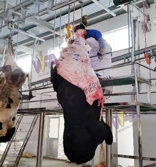 Özel özelleştirmek endüstriyel lal sığır inek kesim Abattoir ekipmanları et taşıma ray sığır mezbaha için