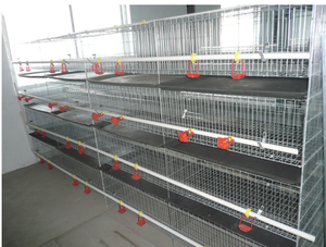 Gabbia <span class=keywords><strong>mobile</strong></span> per pollame a strati tipo A/H con ruote, allevamento di galline, pollaio <span class=keywords><strong>mobile</strong></span> per la Nigeria - Product Image 5