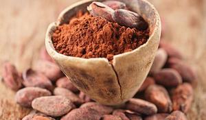 Wholesale Alkalized Cocoa Powder <strong>Food</strong> <strong>Additives</strong> - Product Image 4