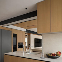 Meuble de cuisine modulaire sur mesure style américain Shaker, armoire de cuisine à fermeture douce et design sans poignée