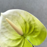 Feuilles d'Anthurium artificielles miniatures en plastique imprimées en 3D haute simulation, écologiques et durables, pour décorations florales de mariage et de Noël